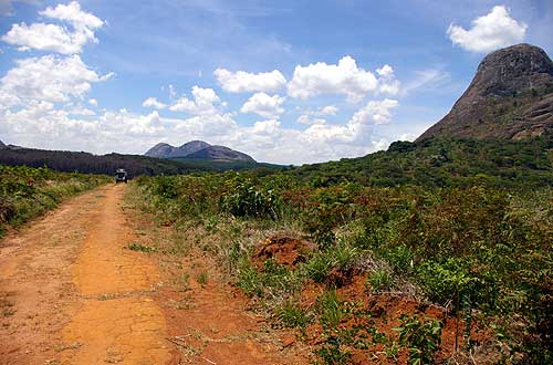 Viphya Plateau, Malawi