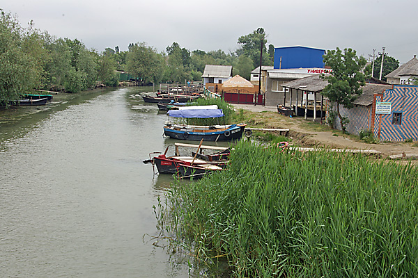 am Donaudelta